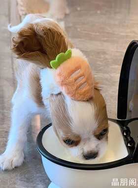 创意狗狗头绳发圈头绳力耳朵通风清洁狗狗发圈比格犬家用收纳
