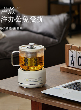 迷你养生壶一人多功能煮茶器宿舍