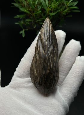 海南虫漏老料随型沉香吊坠重45克左右香韵蜜香韵足男女士挂件饰品