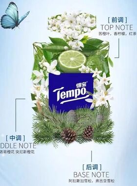Tempo得宝雪松之境香水小礼盒2ml+扩香卡沉稳高奢大师调香正品