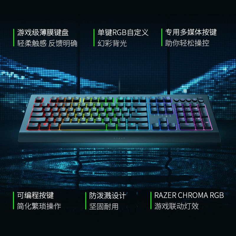 罗技雷蛇Razer雷蛇萨诺狼蛛V2幻彩背光RGB电竞游戏办公键盘鼠标套 - 图0