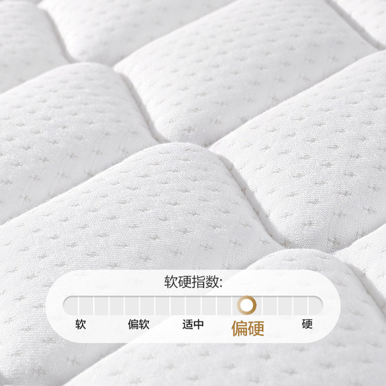 Mousse coconut palm thin mat anti-mite fabric