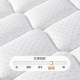Mousse coconut palm thin mat anti-mite fabric