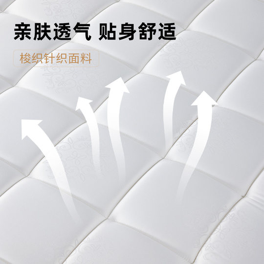 Mousse Flagship Store Sleep Elf Support Version Latex