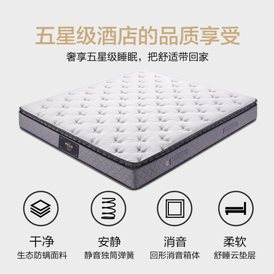 Muse five-star hotel same style mattress