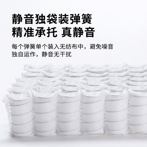 【风典】慕思床垫偏硬弹簧床垫高箱床专用乳胶床垫十大名牌席梦思 - 图1