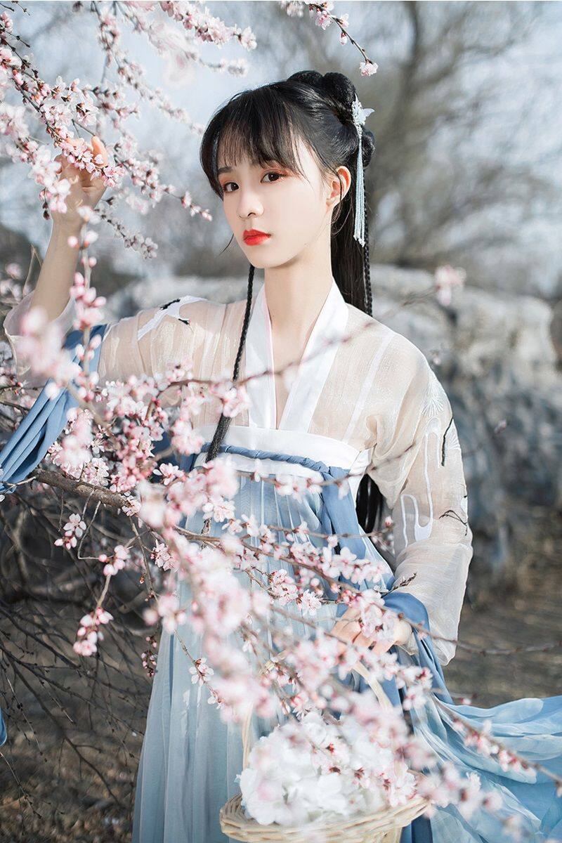 逍遥客兰若庭汉服女中国风宋制改良襦裙仙气白菜古装原创春夏季_虎窝淘