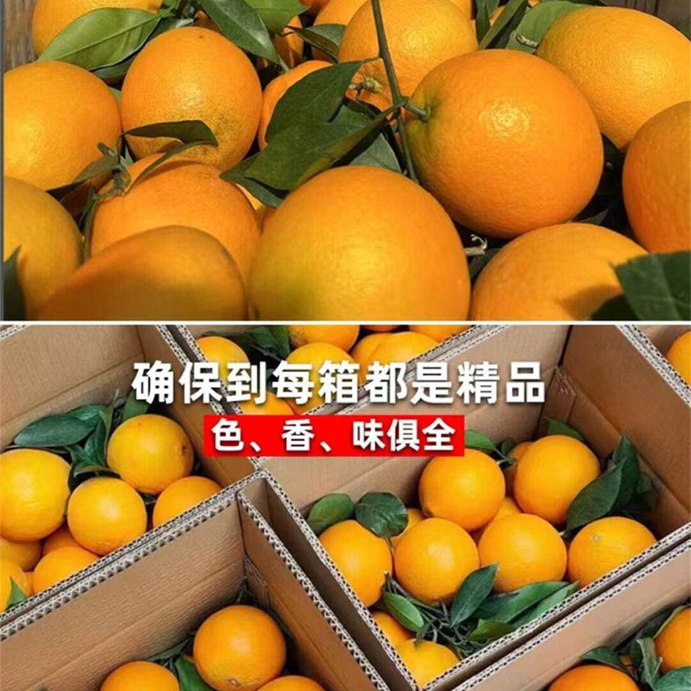 正宗江西赣南信丰脐橙新鲜橙子10斤当季孕妇水果产地果园直发包邮,淘宝优惠券,粉丝福利购,淘宝优惠卷