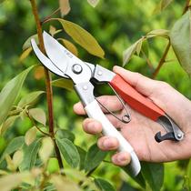 Horticultural Scissors Repair Branch Cut Flowers Art Cut Branches Tree Pruner Branches Special Scissors Landscaped Garden Flower Shears Tool