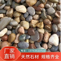 Sichuan Goose Pebble Rain Flower Stone River Pebble Transformers 5-8 cm Cobblestone Riverbank Paved Landscape Cobblestones