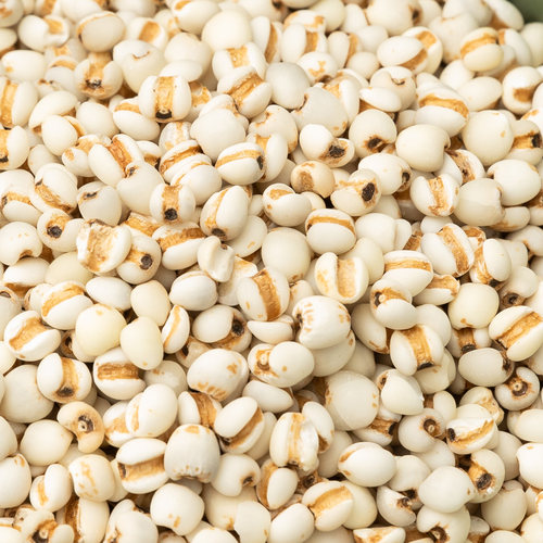有机薏仁米新货 小薏米仁新米小薏苡仁赤小豆苡米红豆薏米 - 图1