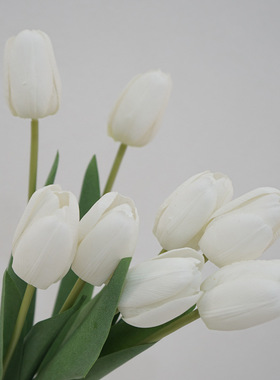 仿真郁金香花保湿家居摆件