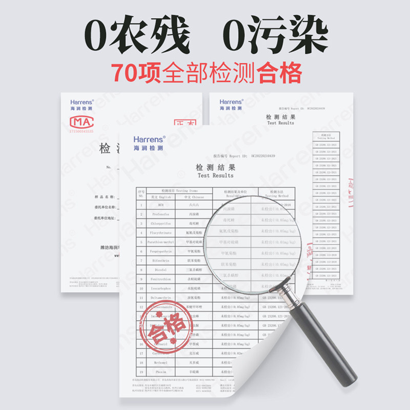 新茶凤宁号高原红云南滇红叶茶花蜜香有机凤庆健康红茶奶专用