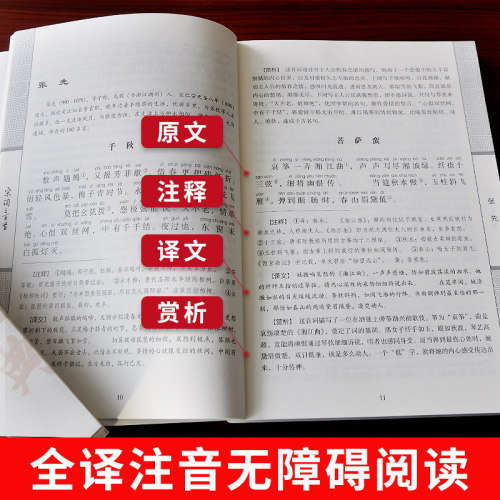 【注音版唐诗宋词全译】唐诗三百首正版全集唐诗宋词三百首 唐诗宋词元曲全集鉴赏辞典中国古诗词全集中小学生注音版全解儿童 - 图1