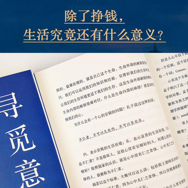 寻觅意义 复旦大学王德峰教授 40多年中西方哲学修养 厘清现实的种种迷雾 找寻生活的意义 安顿内心 果麦出品 - 图2