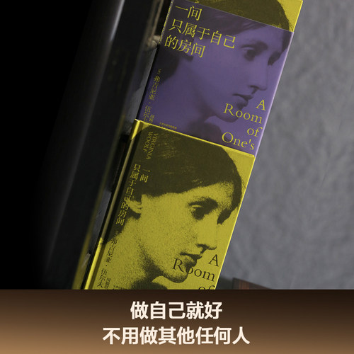 【赠藏书票】一间只属于自己的房间 伍尔夫演讲集 女性主义奠基作品 李银河推荐 独立思考 女性励志 文淇书单 果麦出品 - 图2