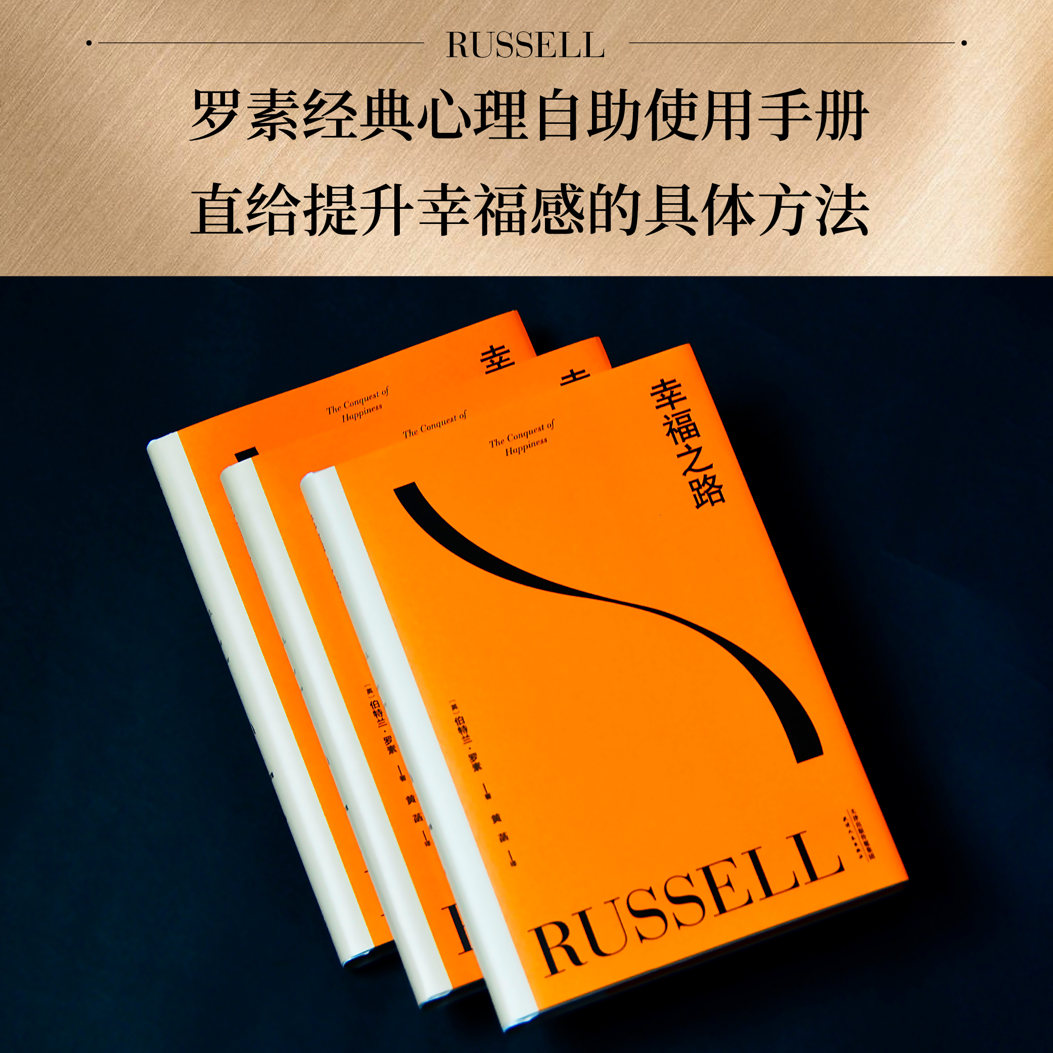 幸福之路 伯特兰·罗素 诺奖得主的幸福指南 提升幸福感 心理自助实用手册 哲学 心理学 王小波推荐 果麦出品 - 图0