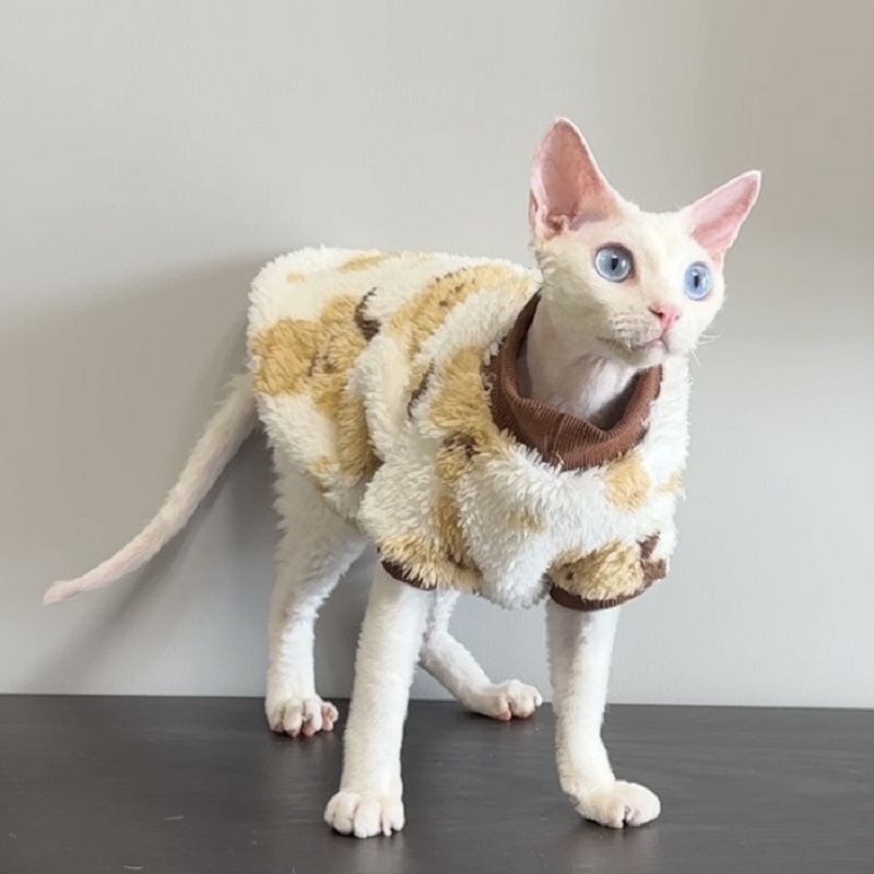 无毛猫衣服秋冬款双面绒德文衣服阿比西尼亚母猫冬季保暖护肚衣
