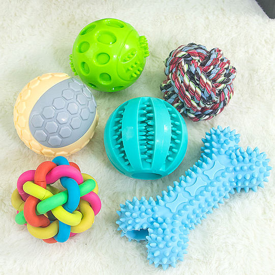 Dog bite-resistant interactive voice toys