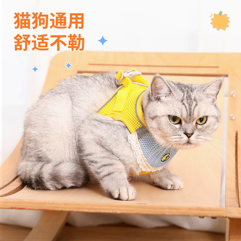 猫猫狗狗翱音牵引绳可爱口水巾胸背带中小型犬用外出可调节胸背带,淘宝优惠券,粉丝福利购,淘宝优惠卷
