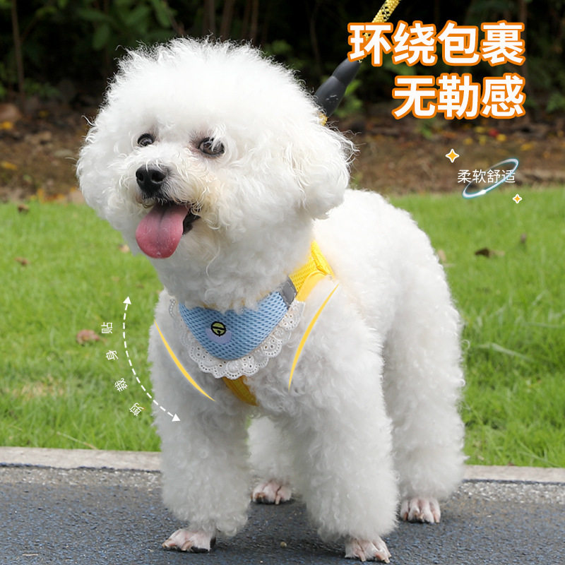 猫猫狗狗翱音牵引绳可爱口水巾胸背带中小型犬用外出可调节胸背带,淘宝优惠券,粉丝福利购,淘宝优惠卷
