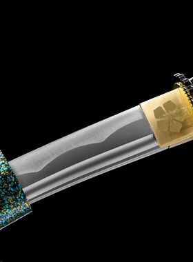 龙泉市刀剑1045中碳钢12寸肋差