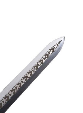 素影唐横刀汉剑弹簧钢一体练习