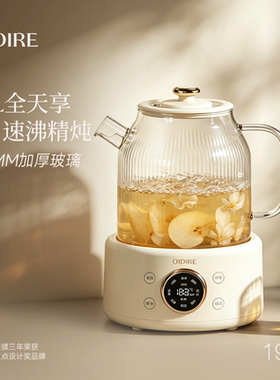 【政府补贴20%】养生壶炖煮一体