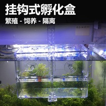 Suwan Hook-Style Peacock Fish Breeding Case Fish Tank Hatchbox Isolated Box Tropical Fish Spawning Hatching Fish Fry Young Fish