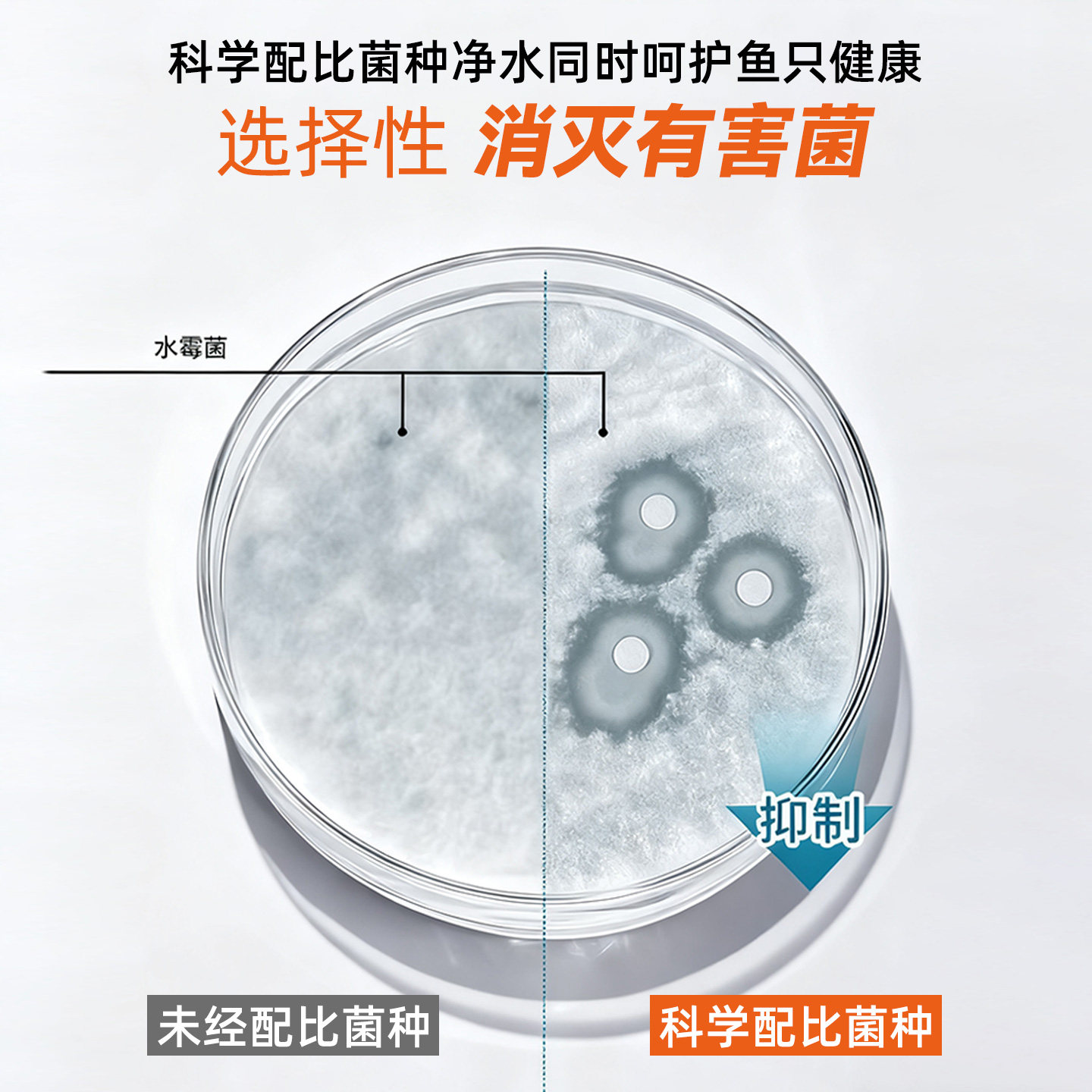 一方净立方锦鲤池庭院家用鱼缸滤材持续释放硝化细菌净水除油膜,淘宝优惠券,粉丝福利购,淘宝优惠卷