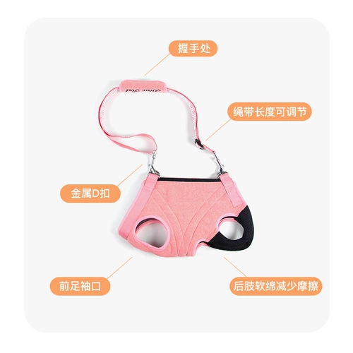 Blueoport пожилая собака из булочек с охраной, чтобы помочь регулируемым собакам с инвалидами.