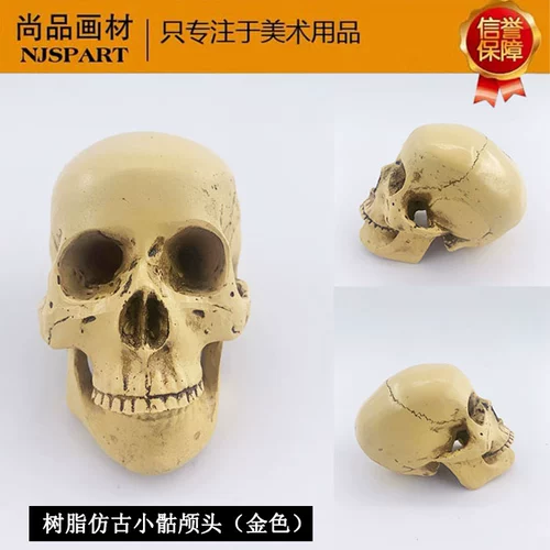 Реалистичная модель черепа, человеческая голова, физиологичный череп, художественный реквизит, анатомия, xэллоуин, обучение