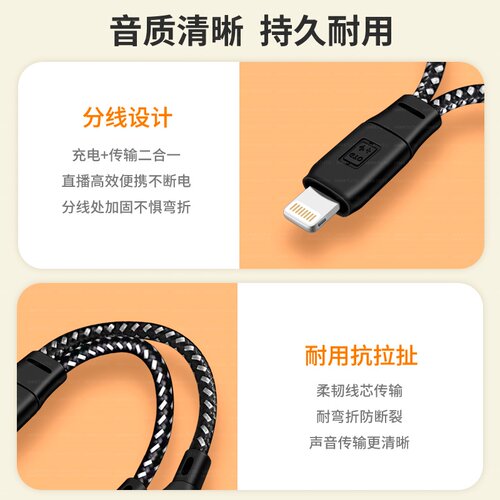 迎春yc2适用苹果OTG转双Type c母口手机tpc无线麦克风收音器充电接口领夹麦声卡转换器iphone数据线14转接头 - 图1