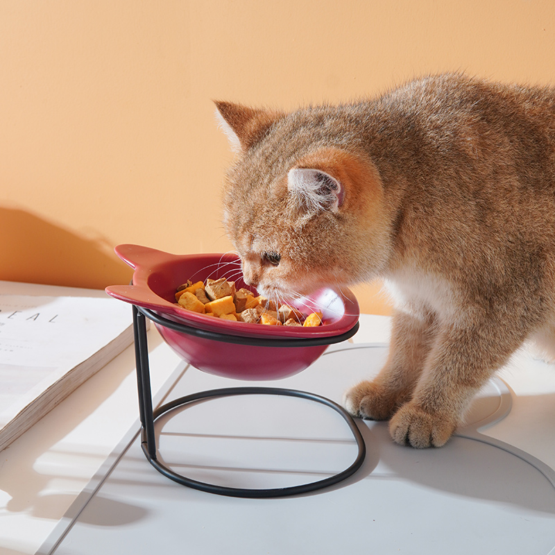 猫碗陶瓷猫食盆双碗狗碗狗盆吃饭喝水保护颈椎狗狗猫咪碗宠物用品