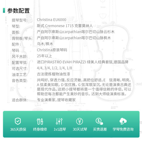 CHRISTINA EU6000A欧洲原装进口小提琴专业级考级演奏级手工琴 - 图3