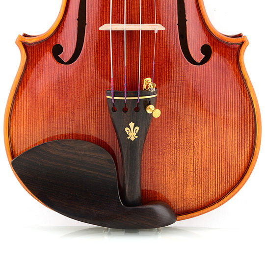 Christina v07c estudiante profesional de violín