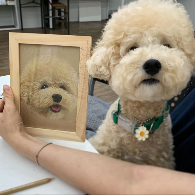 宠物素描彩铅画像定制 手绘猫咪狗狗爱犬动物画 萌宠画画铅笔画 - 图2