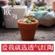 Clearance red pottery succulent flowerpot extra large simple