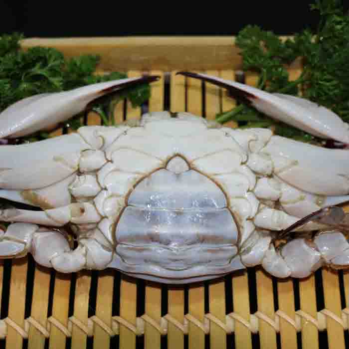 莱州湾鲜活野生梭子蟹母蟹保肥满黄满膏海蟹飞蟹螃蟹水产500g-图1