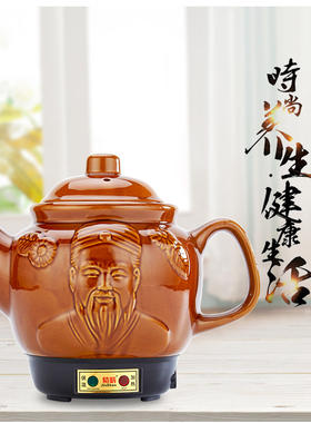中药电煎壶全自动熬药家用中药电煎壶急须壶煮苹果水的壶水果茶壶