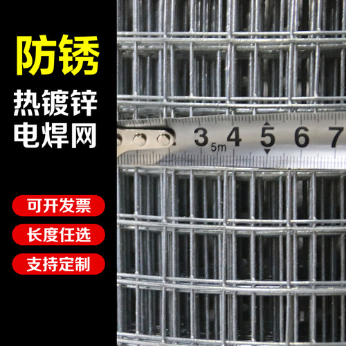 镀锌铁丝网养殖网阳台防护防鼠防蛇鸡笼兔笼鸟笼钢丝网栅栏铁网片 - 图2