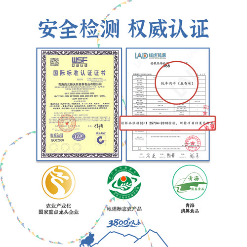 【西北骄风干牦牛肉干250g】手撕零食内蒙古西藏特产官方旗舰店 - 图2