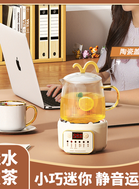 艾苏恩小型养生壶养生杯办公室
