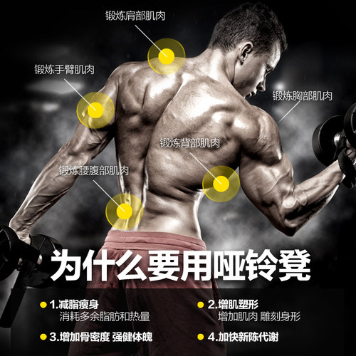 ab罗马椅罗马凳健身椅山羊挺身凳仰卧起坐家用健身器材商用哑铃凳 - 图0