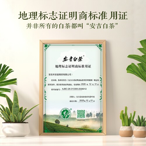 禾安堂正宗高山雨前安吉白茶2026新茶叶自己喝绿茶春茶共500g袋装 - 图1