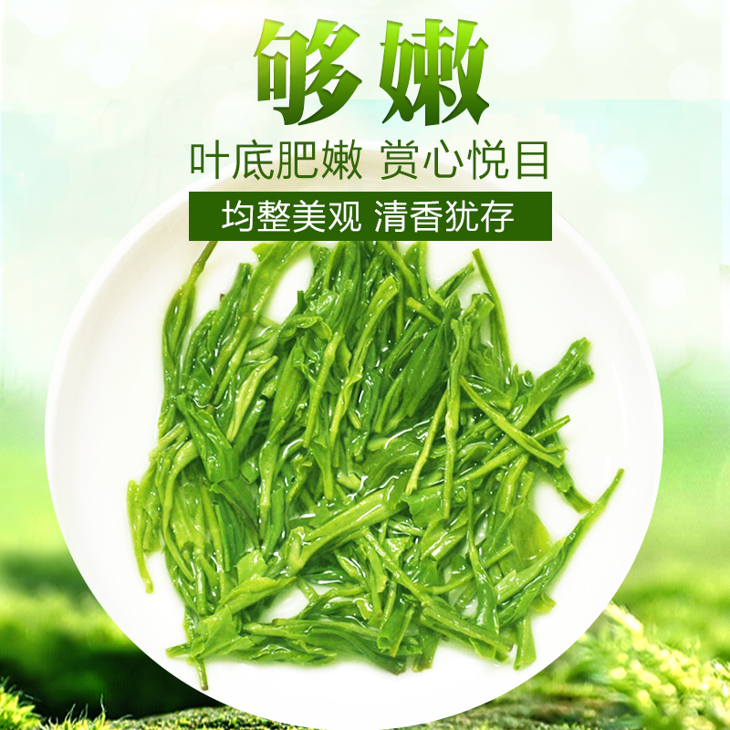 禾安堂旗舰店【买一送一】禾安堂毛尖绿茶年新茶叶信阳原产毛尖共500g3