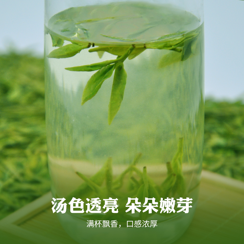 禾安堂旗舰店禾安堂绿茶龙井茶礼盒装新茶雨前浓香型茶叶共250g3