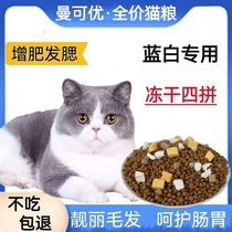 Blue and white English short cat exclusive full price freeze-dried cat food 5 catties 10 catty catty cat for cat fatter pet kitty recommend