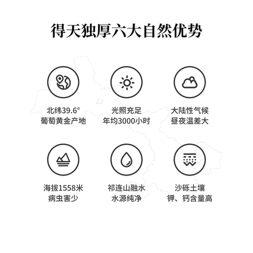 甄选梅尔诺(梅洛) 干红葡萄酒 13%vol 750mL - 图2