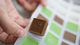 Qinjiang Silicone Brown Sugar Mold Grass Jelly Coconut Milk Jelly